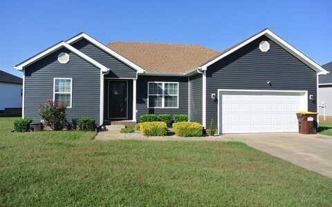 323 Stone Hollow Lane, Bowling Green, KY 42101