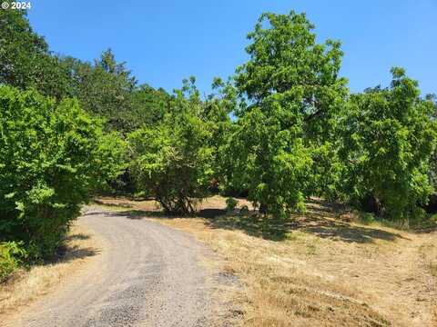 NE SKYLINE DR, Sheridan, OR 97378