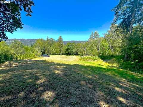 4008 NW 402ND ST, Woodland, WA 98674