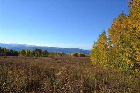 tbd BEAVER CANYON DRIVE, Clark, CO 80428