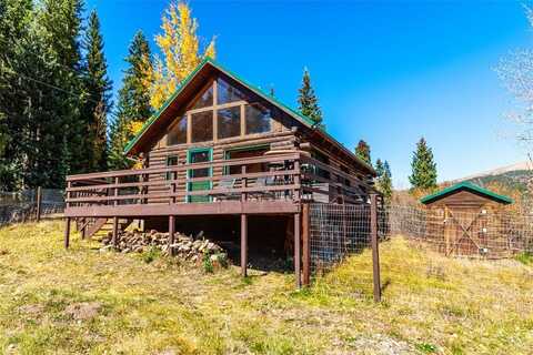 28 NO NAME LANE, Alma, CO 80420