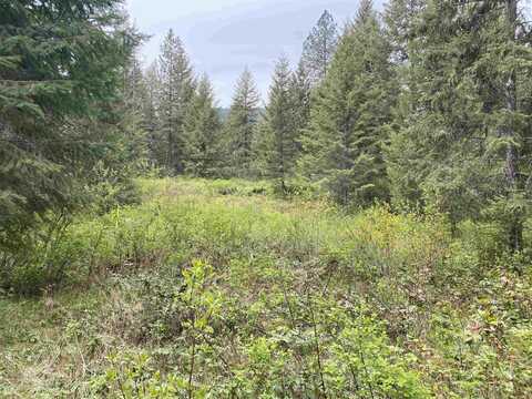 345x Lael Rd, Kettle Falls, WA 99141