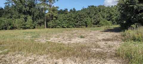 0 Joseph Lemon & Dingle Rd Tract #10, Manning, SC 29102