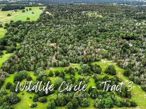 TBD Wildlife Circle, Carmine, TX 78932