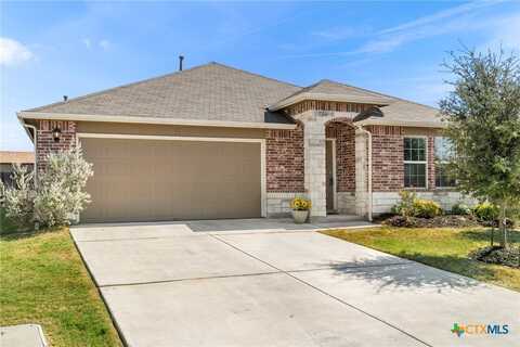 576 Agave Flats Drive, New Braunfels, TX 78130