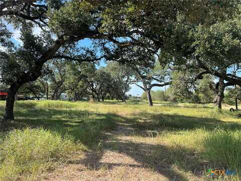 7822 Old Highway Road, Inez, TX 77968