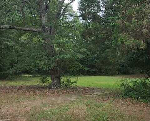 Lot 1 Beulah Street, Due West, SC 29639