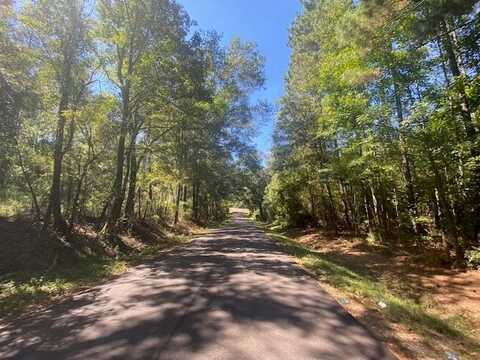 000 Jack Duncan Rd, Tylertown, MS 39667