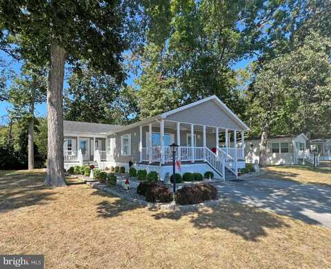 53 BRANCHWOOD DRIVE, REHOBOTH BEACH, DE 19971