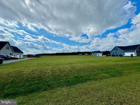 30216 COTTAGE LANE, MILLSBORO, DE 19966