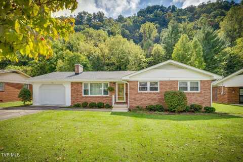 1230 Thomas Boulevard, Elizabethton, TN 37643