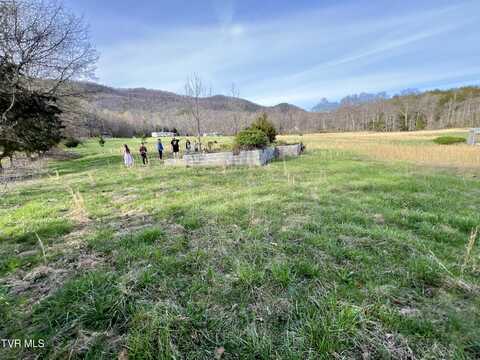 0 Lovin Road, Mooresburg, TN 37811