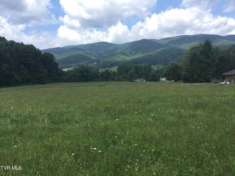 182 Peters Hollow Road, Elizabethton, TN 37643