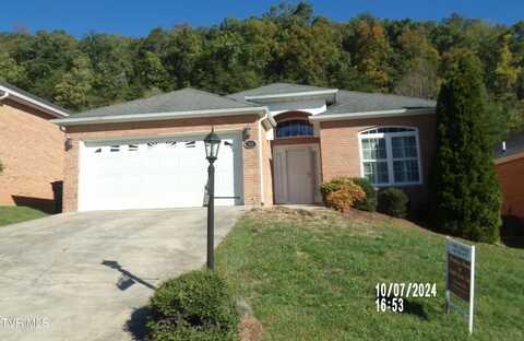 180 Apple Lake Drive, Bluff City, TN 37618