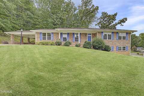 108 Tanglewood Trail, Afton, TN 37616