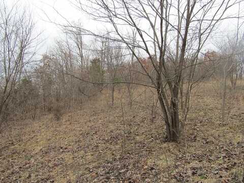 43+ac Upper Crab Rd, Jamestown, TN 38556