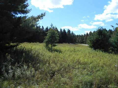 TBD County Road 436, Gulliver, MI 49835