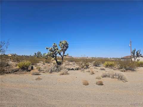 595 E Dellenbaugh Drive, Meadview, AZ 86444