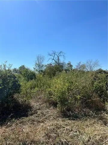 Tbd S Seeley Avenue, Mount Calm, TX 76673