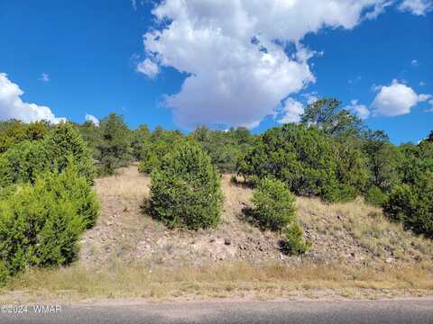 Lot 11 S Spruce Street, Eagar, AZ 85925