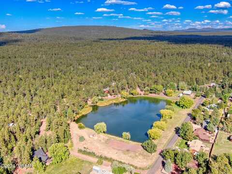 1091 W Zuni Lane, Lakeside, AZ 85929