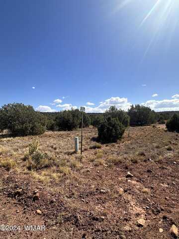 Tbd Lot 343 & 344, Concho, AZ 85924