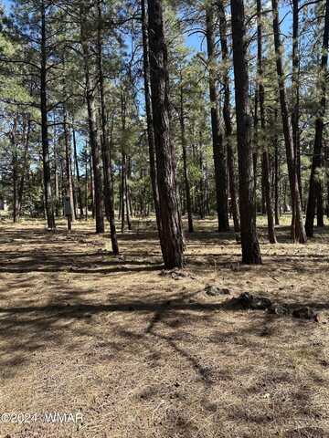 Tbd S Pine Meadow Lane, Pinetop, AZ 85935