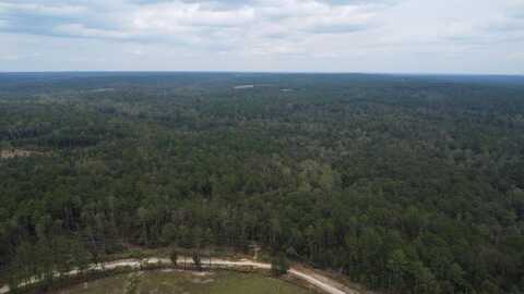 1365 Lot 4 Dairy Road, Ridge Spring, SC 29129