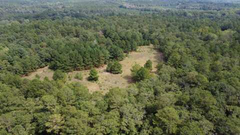 1365 Lot 6 Dairy Road, Ridge Spring, SC 29129