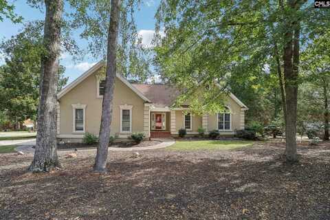 348 Night Harbor Drive, Chapin, SC 29036