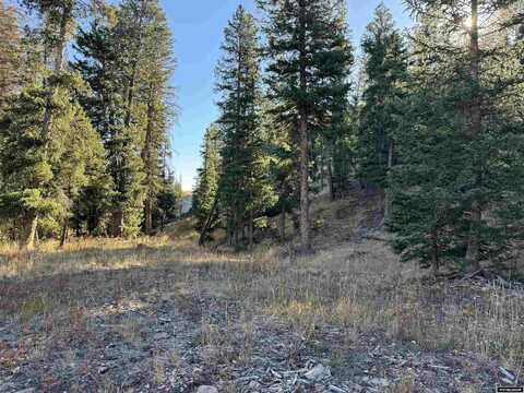 Lot 39 Spring Creek Trail, Dubois, WY 82513