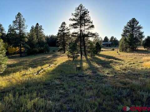 3898 N Pagosa Boulevard, Pagosa Springs, CO 81147