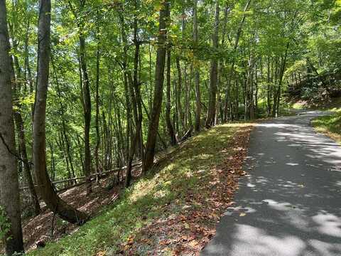 Trimont Mountain Rd, Franklin, NC 28734