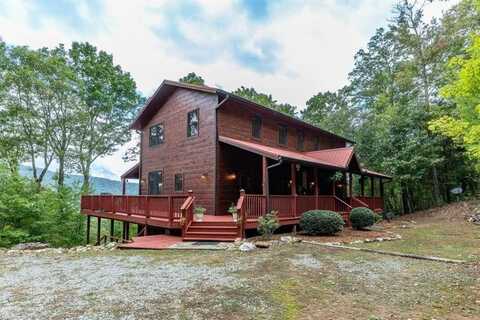 881 Fox Mountain, Cherry Log, GA 30522