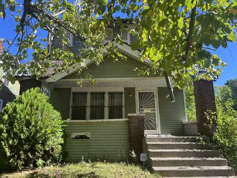 11370 Belleterre Avenue, Detroit, MI 48204