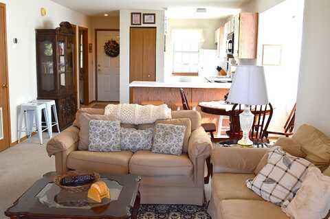 25 Chickadee Drive, Branson, MO 65616