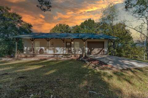 7105 County Road East 14 -313, Ava, MO 65608