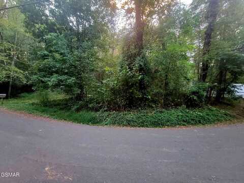 Lot 177 Sourwood Honey Drive, Sevierville, TN 37876