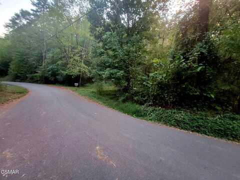 Lot 121 Sourwood Honey Drive, Sevierville, TN 37876