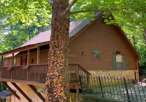 335 Greenwood Way, Pigeon Forge, TN 37863