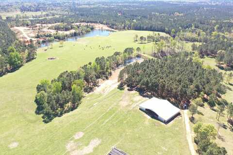 451 Carter Dees Road, Taylorsville, MS 39168