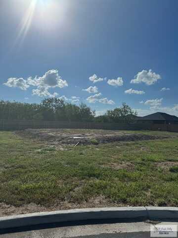 1801 LASSO LN, SAN BENITO, TX 78586