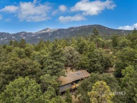 29901 Eagles Nest DR, Idyllwild, CA 92549