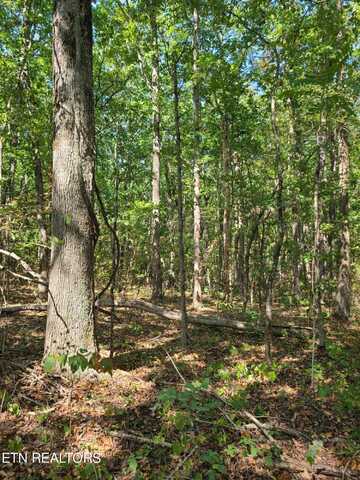 Lot 3 Westwind Way, Crossville, TN 38572