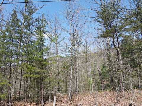 Lot 40 Hickory Tree Street, Sevierville, TN 37862