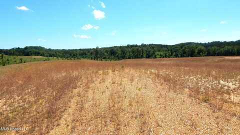 209 Hugh White State Park Road, Grenada, MS 38901