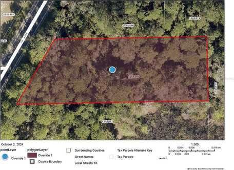 COUNTY ROAD 445A, ASTOR, FL 32102