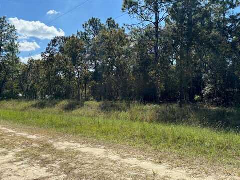 0 SW 90 PLACE, DUNNELLON, FL 34432