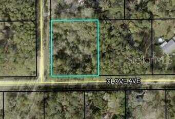 3686 CLOVE AVENUE, BUNNELL, FL 32110