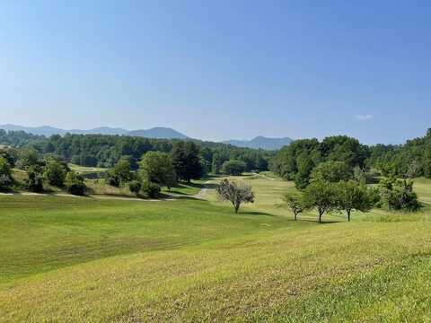 7K Mountain Harbour, HAYESVILLE, NC 28904